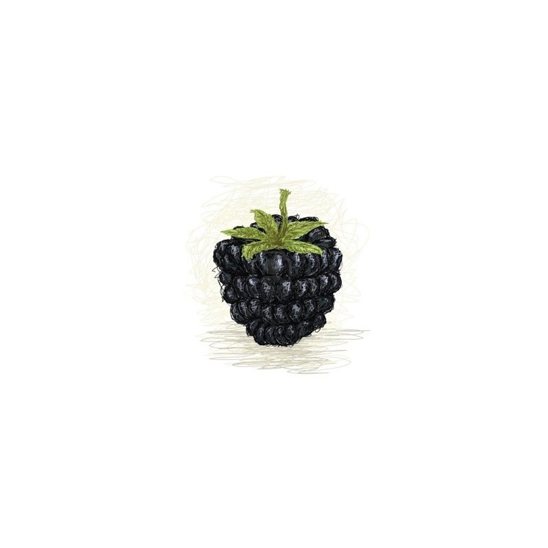 Blackberry - Perfumer's Apprentice Blackberry - Perfumer's Apprentice