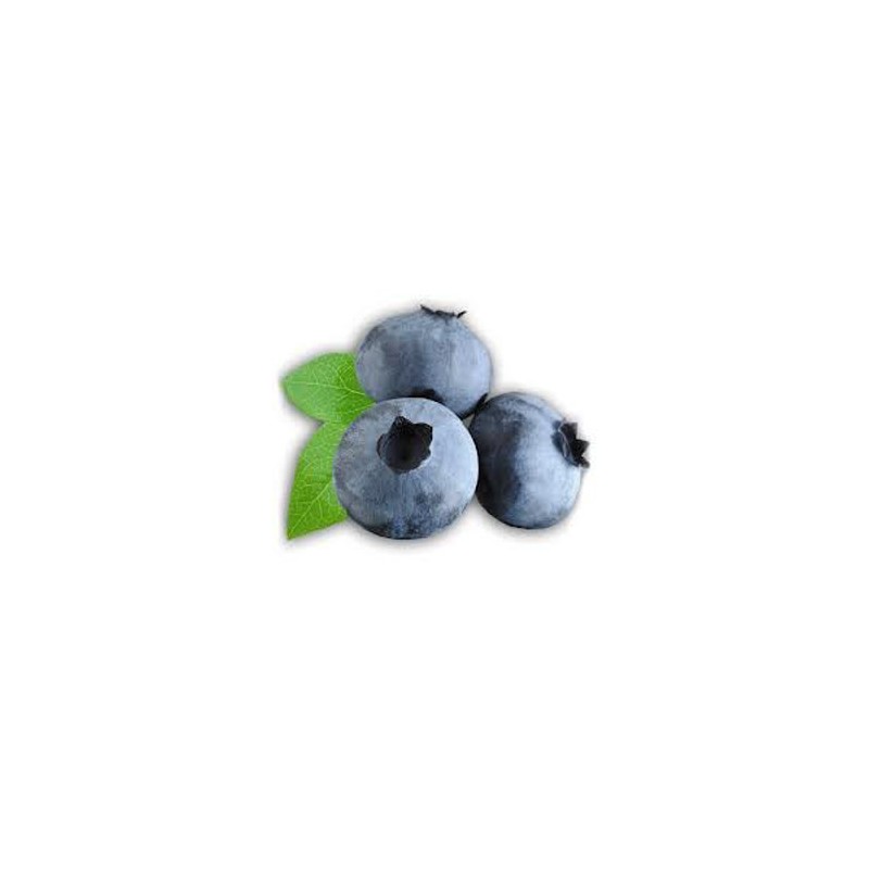Blueberry by Perfumer's Apprentice Blueberry by Perfumer's Apprentice