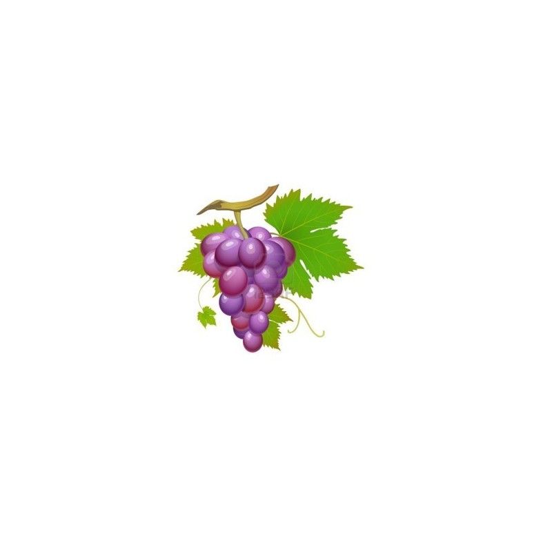 Grape - Perfumer's Apprentice Grape - Perfumer's Apprentice