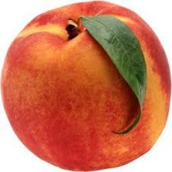 Peach by Perfumer's Apprentice