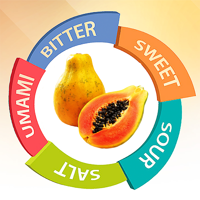 Papaya by M&M Papaya by M&M