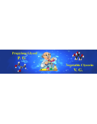 Bases PG & VG
